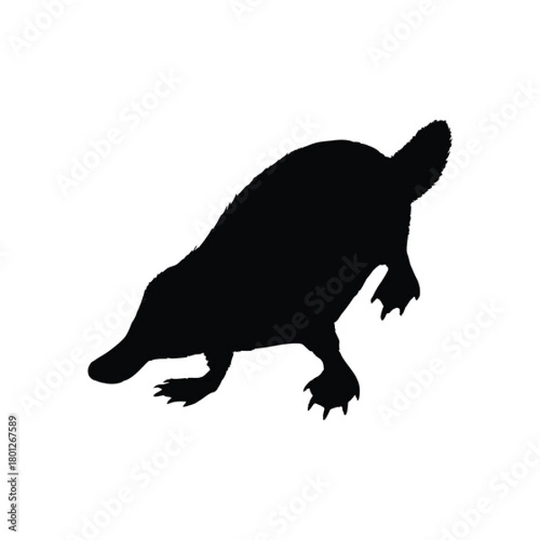 Obraz Solid black platypus silhouette vector illustration