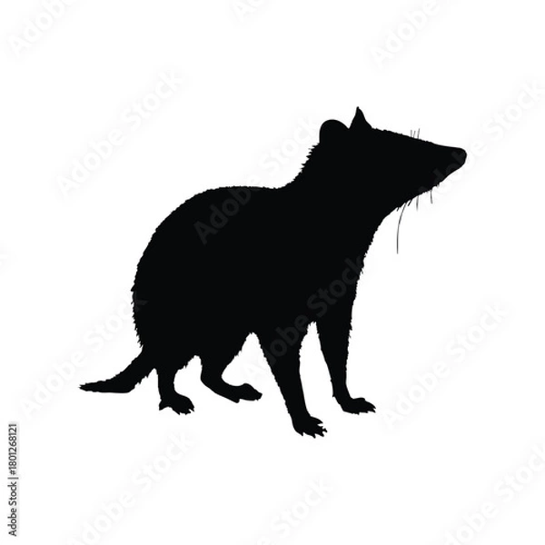 Obraz Solid black tiger quoll silhouette vector illustration