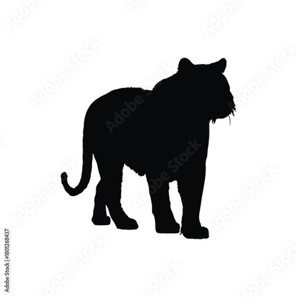 Obraz Solid black tiger silhouette vector illustration