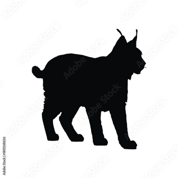 Obraz Solid black lynx silhouette vector illustration