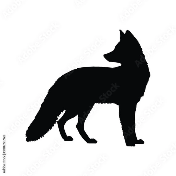 Obraz Solid black fox silhouette vector illustration