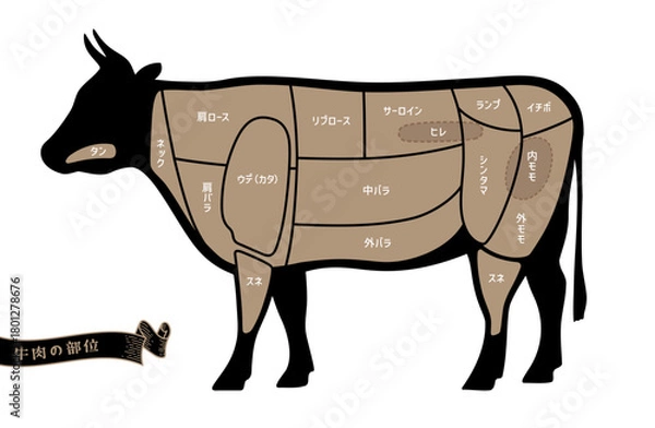 Fototapeta 牛肉の部位の名称　日本語表記