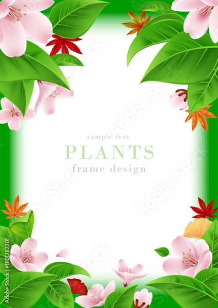 Obraz 四季の花や葉のフレームデザイン｜桜,青葉,紅葉,楓のリアルなベクターイラスト