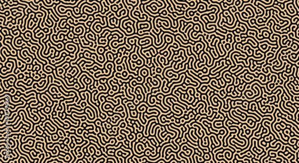 Obraz An intricate seamless abstract organic pattern resembling a reaction diffusion system or a complex maze in beige on a black background.