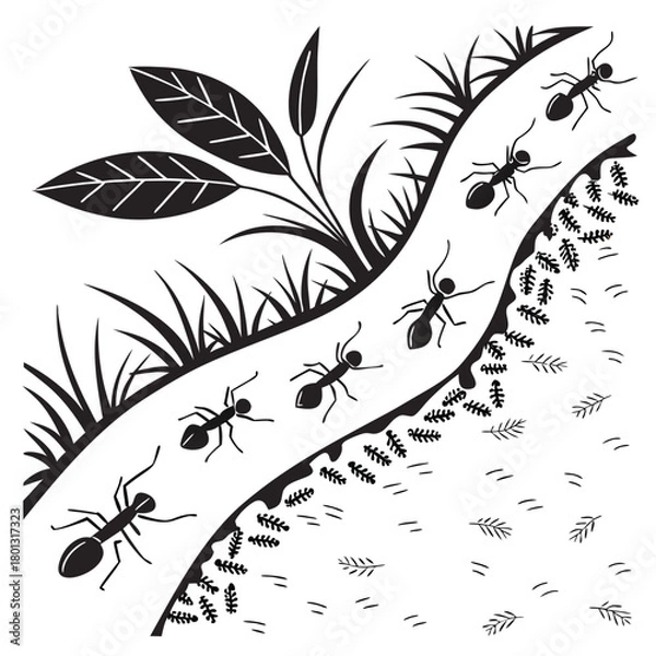 Obraz Black ants march along a curved path through minimalist foliage and branch markings
