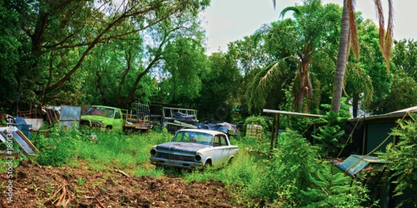 Obraz Backyard lovers