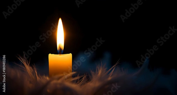 Obraz Single Candle Flame Illuminating Soft Feathers in Darkness