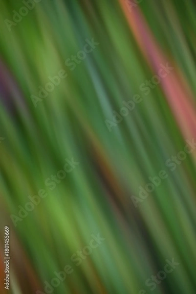 Fototapeta Blurred image of nature.