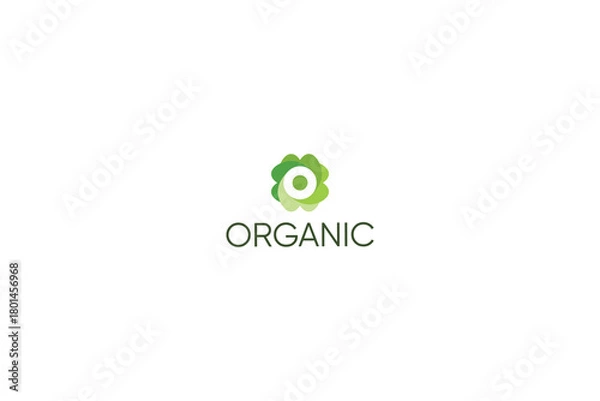 Obraz Letter O green leaf natural eco friendly logo 
