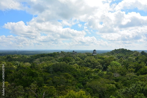 Fototapeta 密林に浮かぶティカル遺跡