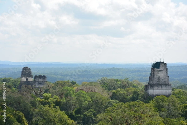 Fototapeta 密林に浮かぶティカル遺跡