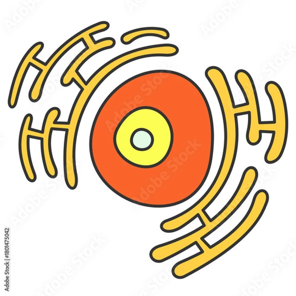 Obraz Nucleolus and endoplasmic reticulum
