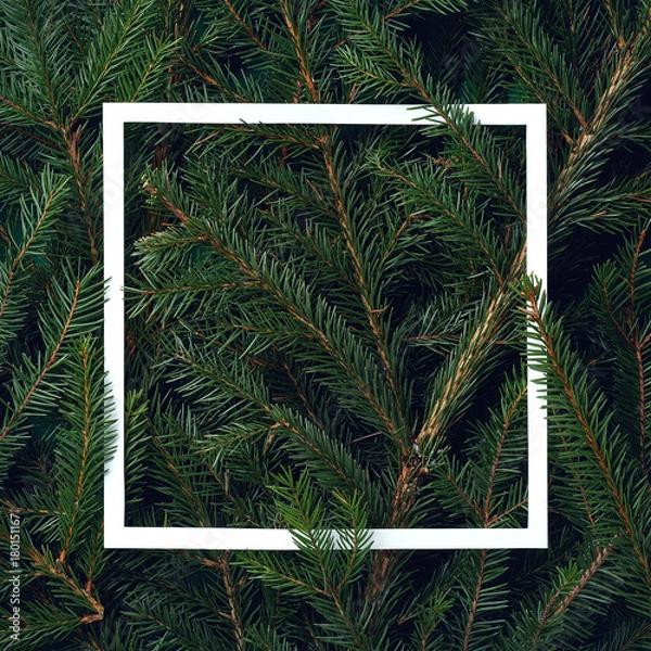 Fototapeta Frame of Christmas tree branches