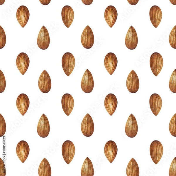 Obraz Watercolor almond nut seamless pattern. White background
