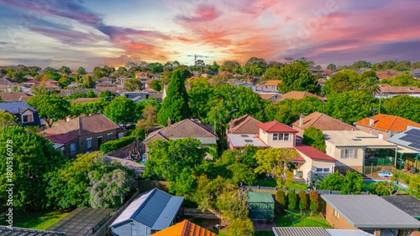 Fototapeta Aerial Panorama Drone View of a inner western Sydney Suburb of Ashbury Urban Sprawl and the terracotta roof tops streets and trees of Suburban Sydney  NSW Australia