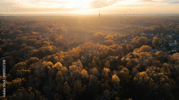 Fototapeta Aerial view of a dense autumn forest at sunrise, with warm golden light streaming across the tree canopy and long shadows stretching over the landscape. The warm tones of yellow and orange