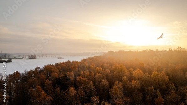 Fototapeta Atmospheric aerial view at sunrise with warm golden light illuminating an autumn forest and a river in the background. The morning fog and the glowing horizon create a calm, peaceful mood in this scen