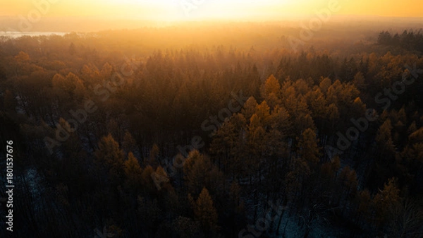 Fototapeta Aerial view of a dense forest in autumn at sunrise. The warm golden sunlight illuminates the tops of the trees, creating a moody and atmospheric landscape. Shot during early morning in a remote woodla