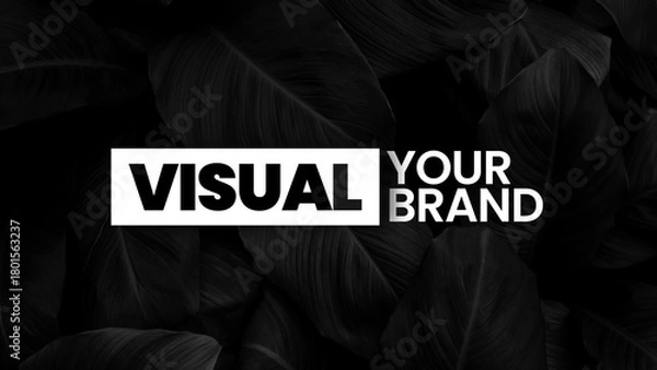 Obraz Kinetic Title Animations 01