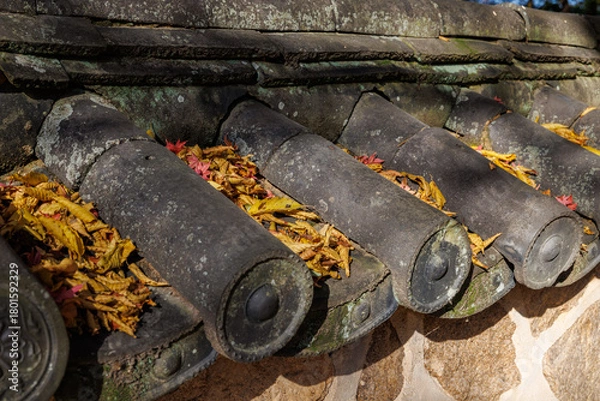 Fototapeta A close-up photo of fallen leaves and maple trees on the old tiled roof of Bulguksa Temple in Gyeongju, South Korea.