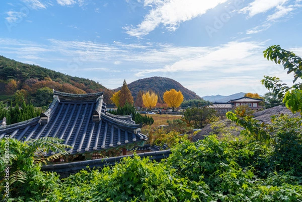Fototapeta Autumn scenery of Yangdong Village, an old traditional village in Gyeongju, Korea.