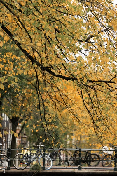 Fototapeta Golden autumn leaves droop down, and bicycles can be vaguely seen on the canal bridge,  Amsterdam autumn 