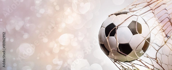 Fototapeta soccer ball on a light background