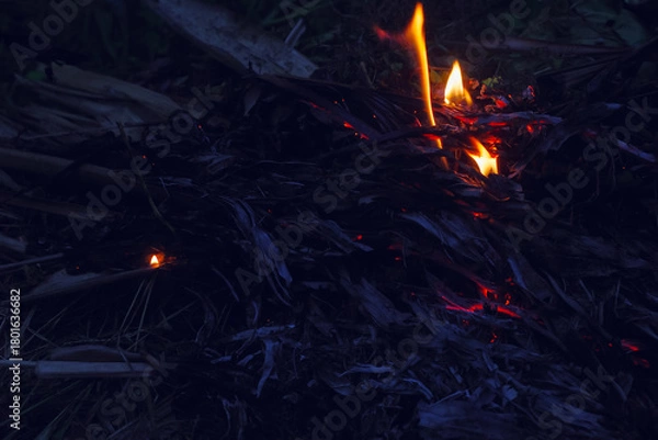 Obraz burning candles in the dark