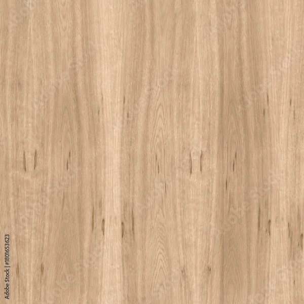 Obraz Natural OakTexture Close-Up Texture