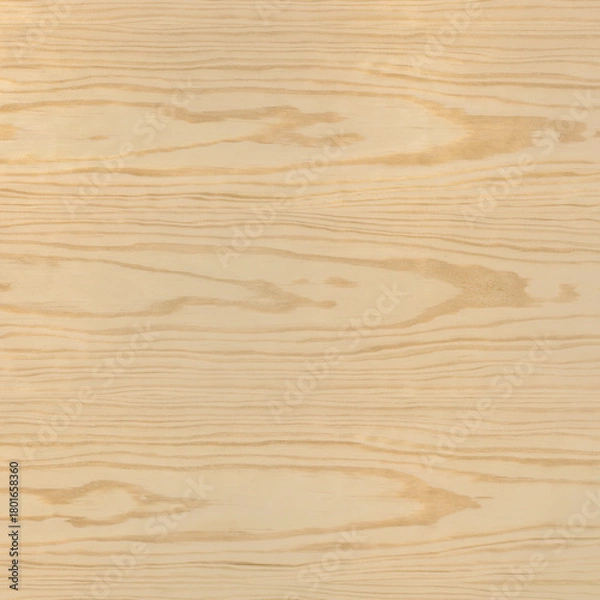 Obraz Light Brown Pine Wood Texture Close-Up Texture