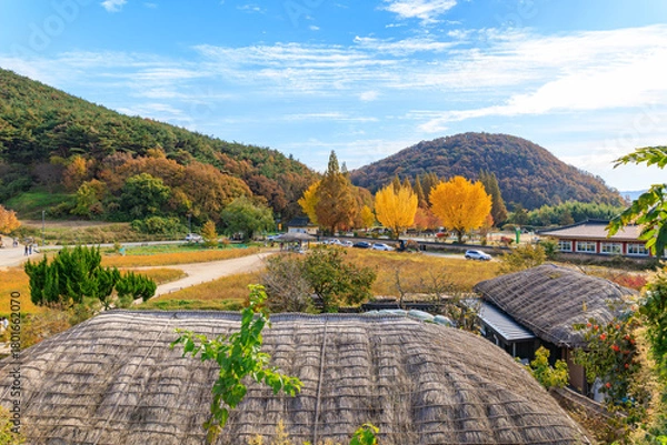 Fototapeta Autumn scenery of Yangdong Village, an old traditional village in Gyeongju, Korea, with beautiful ginkgo trees that have turned yellow in autumn.