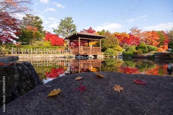 Obraz 北海道　札幌　平岡樹芸センター　紅葉　もみじ　トンネル