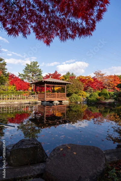 Obraz 北海道　札幌　平岡樹芸センター　紅葉　もみじ　トンネル