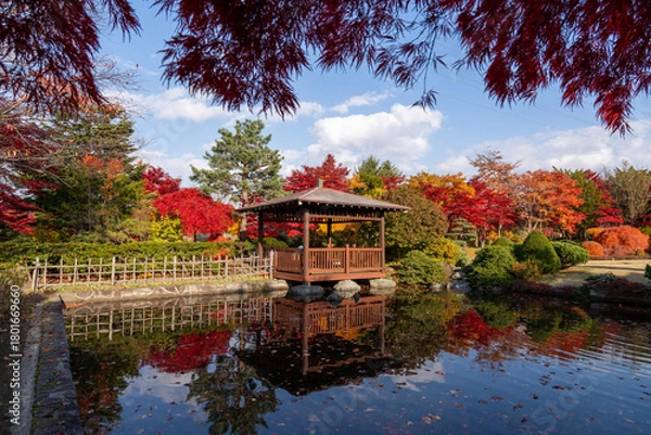 Obraz 北海道　札幌　平岡樹芸センター　紅葉　もみじ　トンネル
