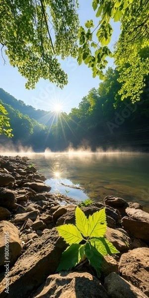 Fototapeta Serene Riverbank at Sunrise with Mist and Lush Greenery