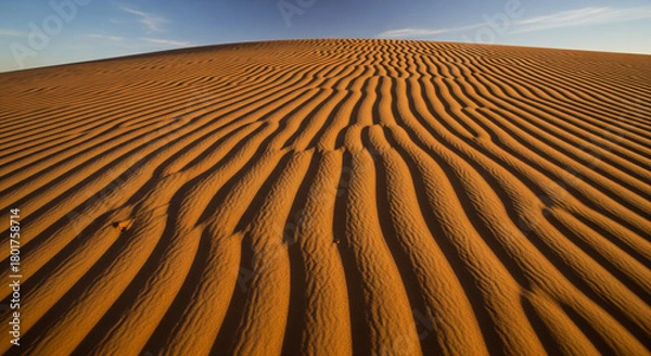 Obraz sand dunes in the sahara