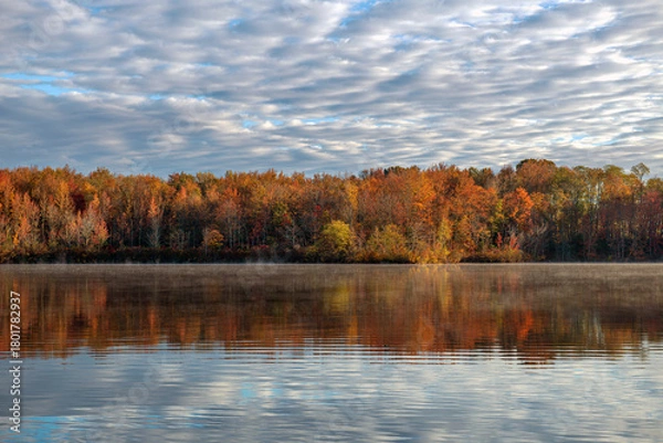 Obraz Mist on the Pond