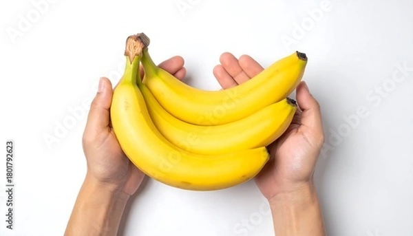 Obraz Hands holding a bunch of ripe yellow bananas on white background.