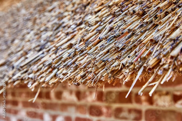 Obraz traufkante reetdach