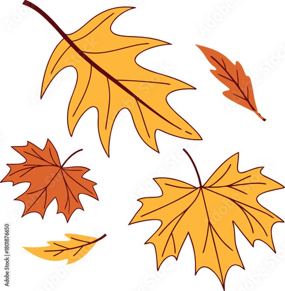 Obraz A collection of autumn leaves in various shapes and colors vector art