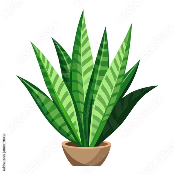 Obraz snake plant