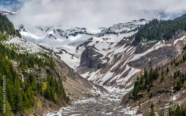 Obraz Mt Rainier valley