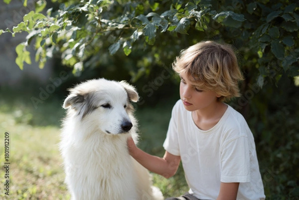 Fototapeta young boy gently pets old dog embodying respect and compassion in their interaction