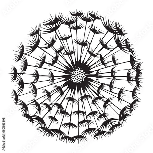 Fototapeta Black Silhouette of a Dandelion Seed Head on White