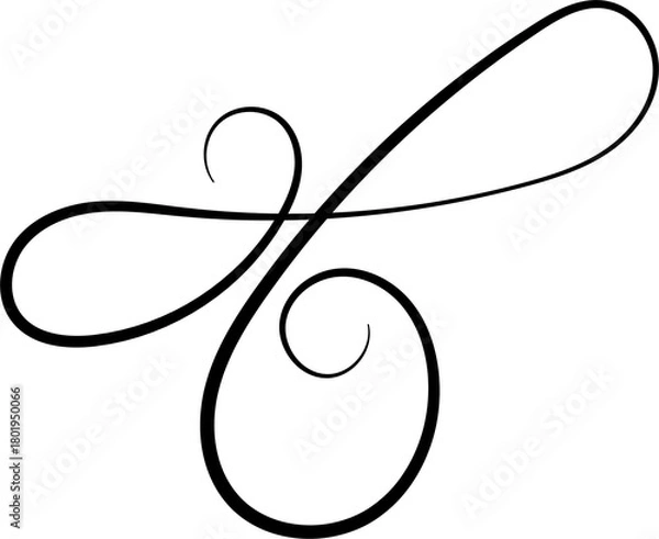 Obraz Vintage Calligraphic Swirl Flourish Ornament Vector
