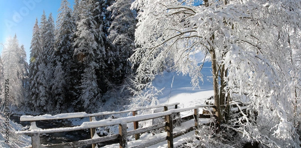Obraz Verschneite Waldlandschaft mit Bach, Österreich, Europa, Panorama 