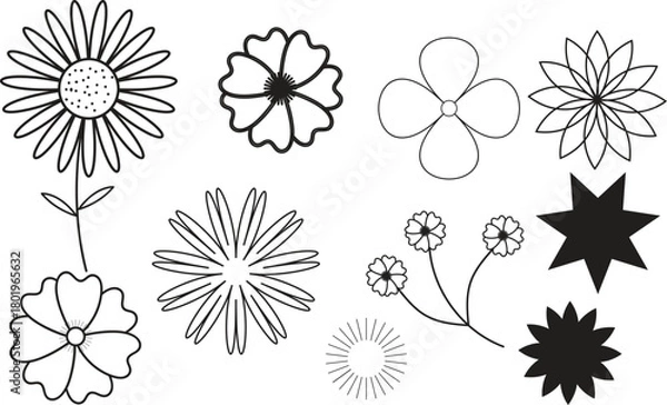 Fototapeta Collection of hand drawn floral elements and star shapes