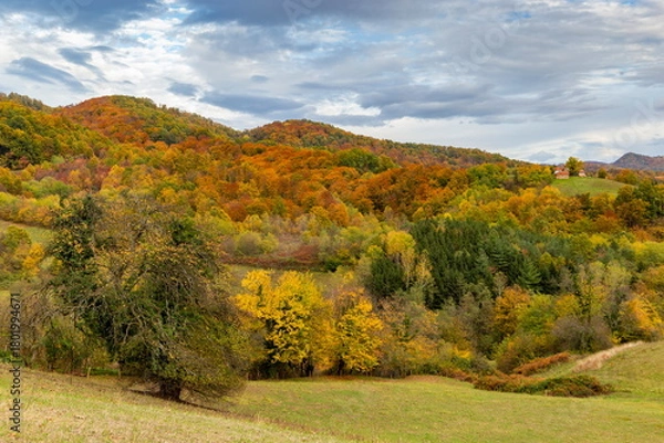 Fototapeta Colorful autumn mountain scenery with forests and fields in bright fall tones