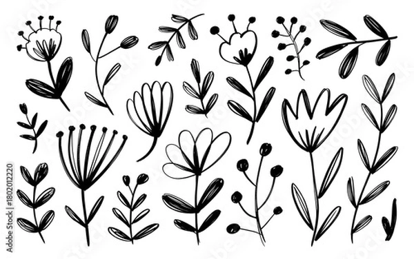 Obraz Hand Drawn Botanical Elements and Flowers Collection