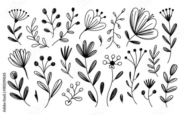 Obraz Black and White Sketchy Botanical Elements Collection